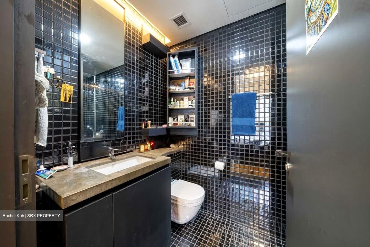 Skysuites@Anson (D2), Apartment #579513181